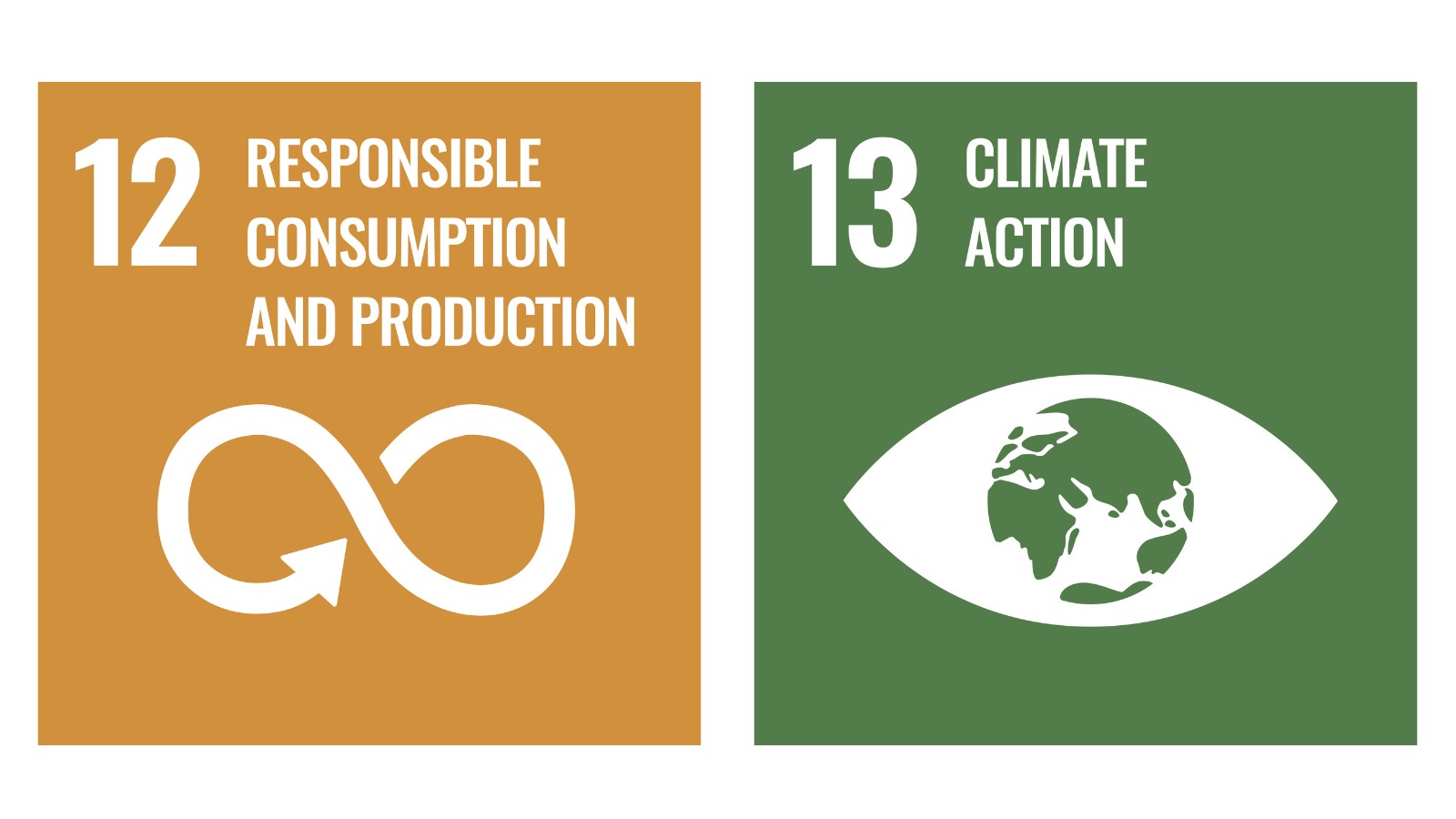 Verantwortungsvoller Konsum und nachhaltige Produktion; Maßnahmen zum Klimaschutz