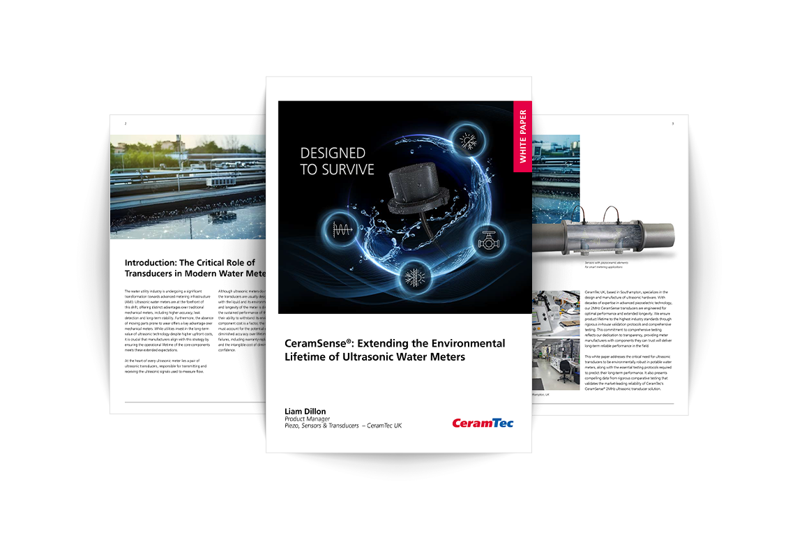 Vorschau und Einblick in das Ultraschall-Whitepaper zu Wasserzählern von Liam Dillon